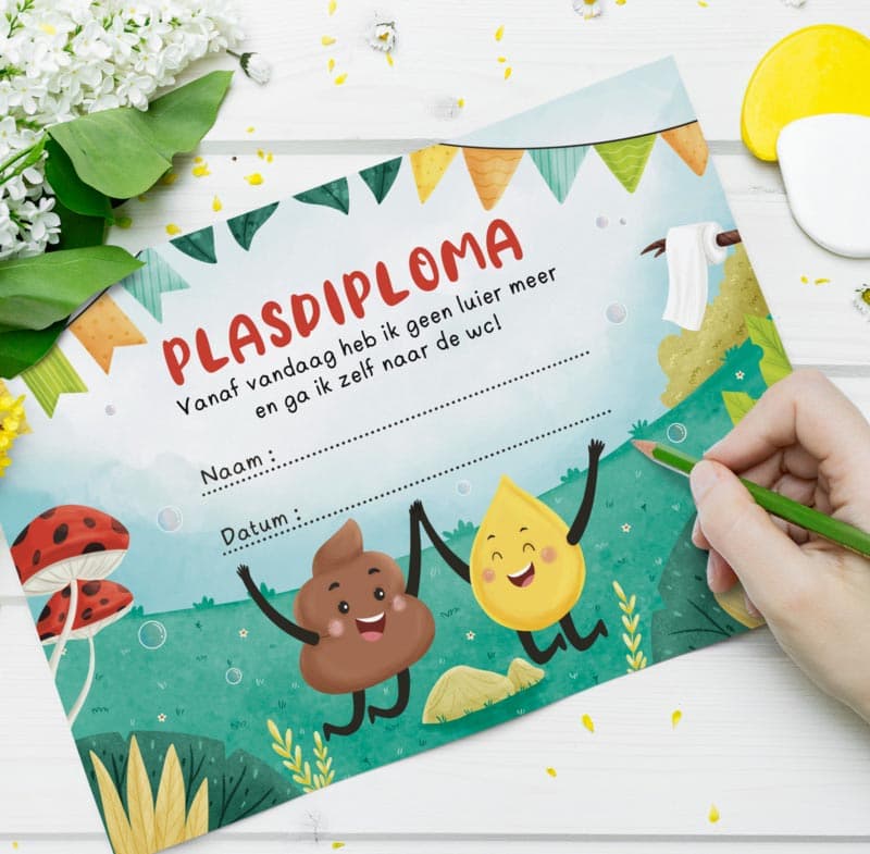 Pipidiploma